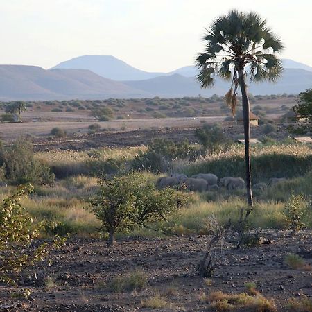 Palmwag Campsite Exteriör bild